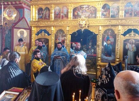 Введение во храм Пресвятой Богородицы, 4 декабря 2016